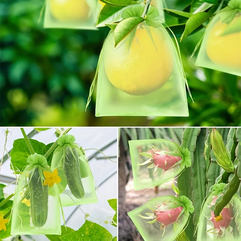 100Pcs Green Protective Bag wi - đánh giá và giá Grow Bag