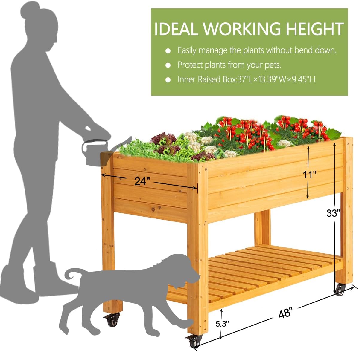 Mobile Wooden Elevated Raised  - đánh giá và giá Raised Garden Bed