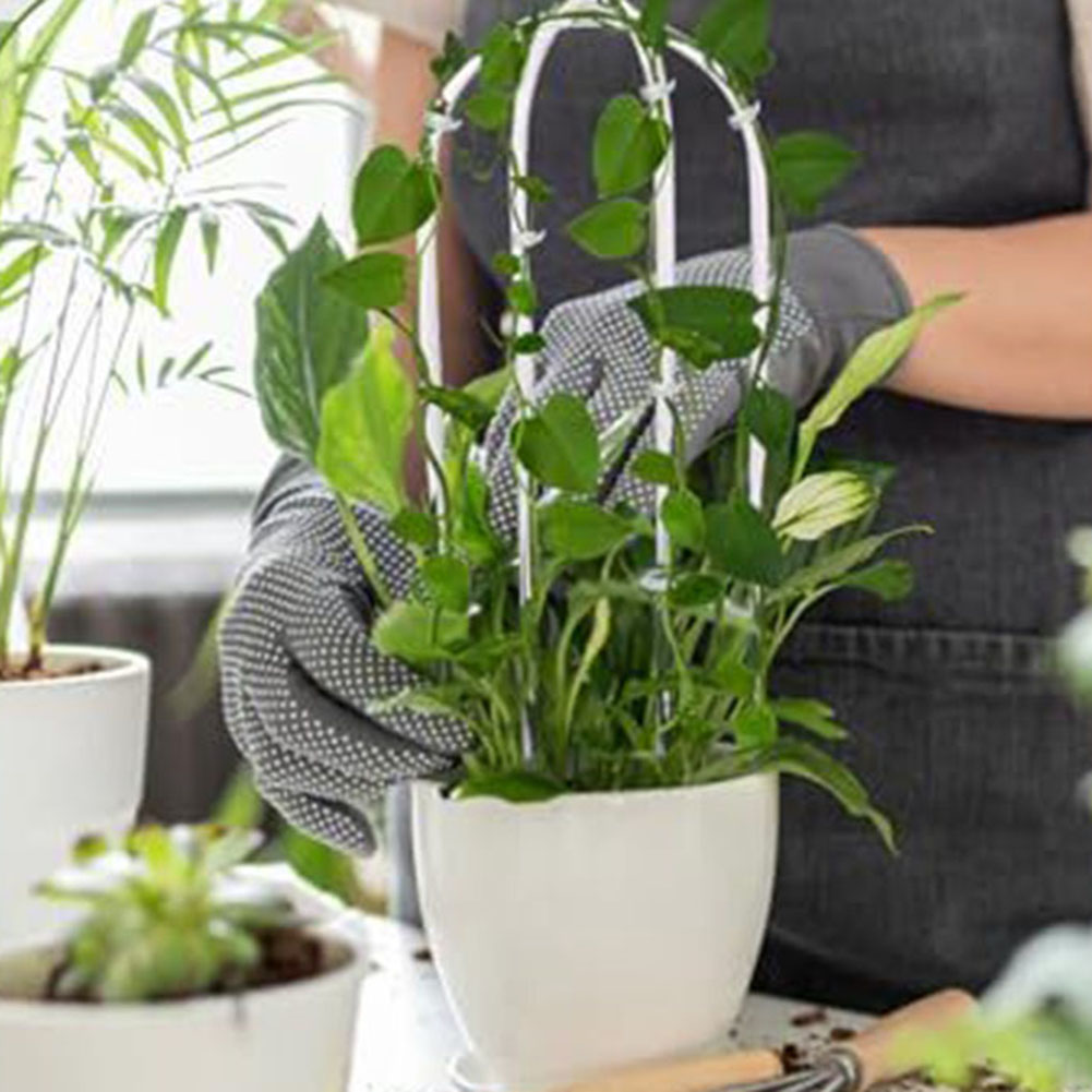 2pcs Acrylic U-shaped Plant Ra - đánh giá và giá Indoor Herb Garden