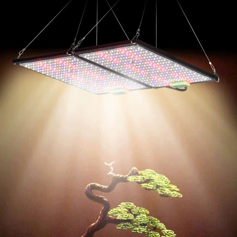 LED Quantum‑Board Grow Light F - đánh giá và giá Grow Light Led