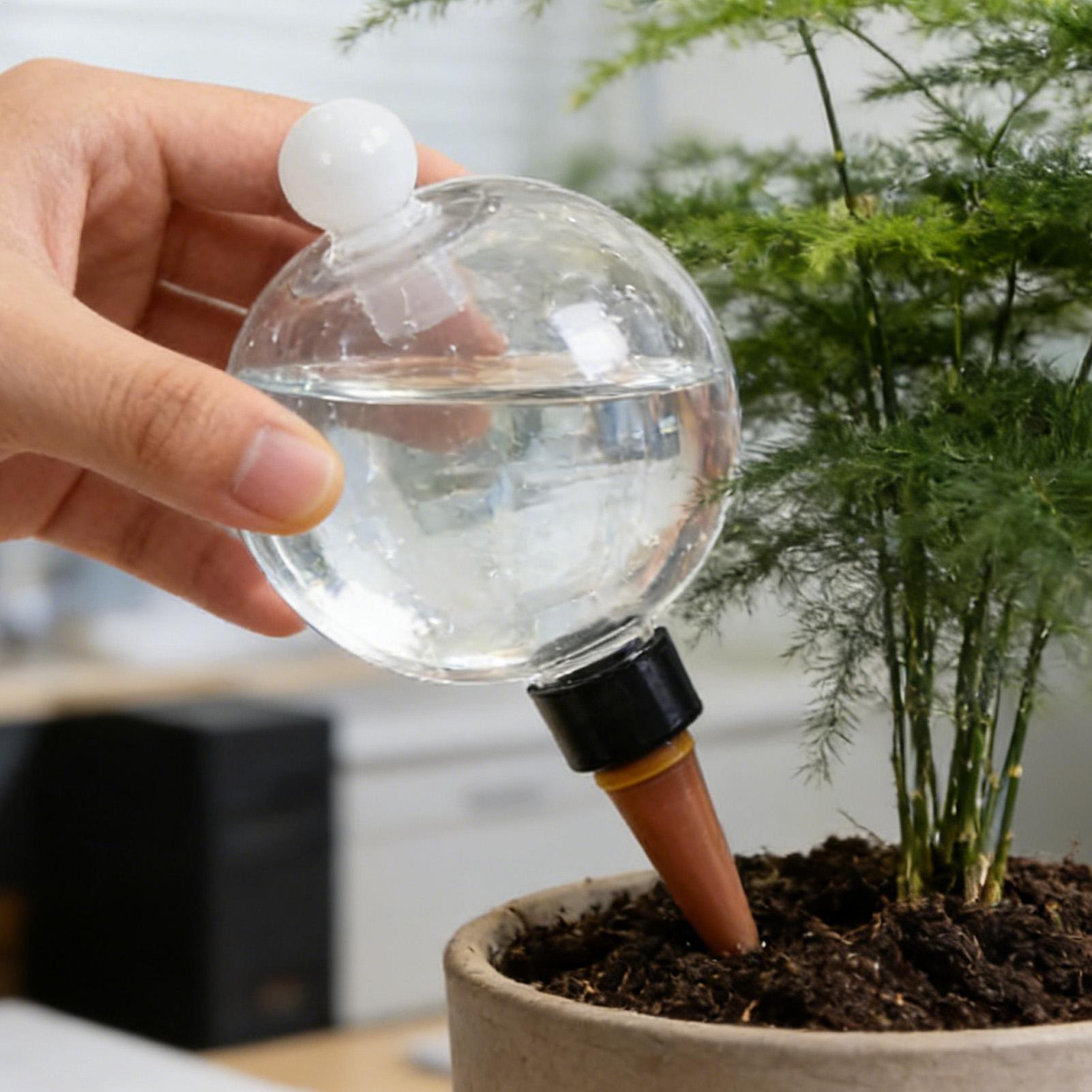 Plant Watering Bulbs 4pcs 500m - đánh giá và giá Self Watering Planter