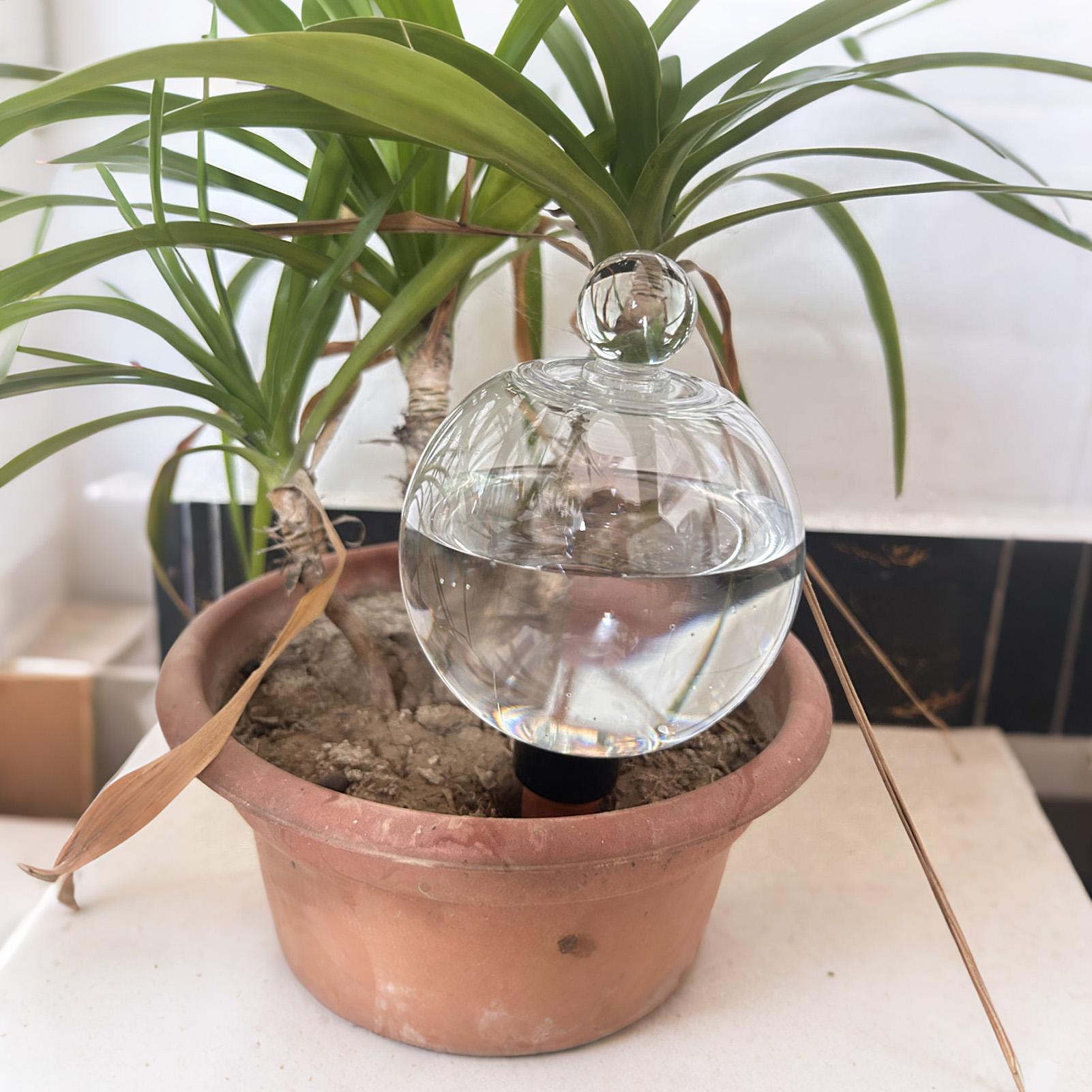Plant Watering Bulbs 4pcs 500m - đánh giá và giá Self Watering Planter