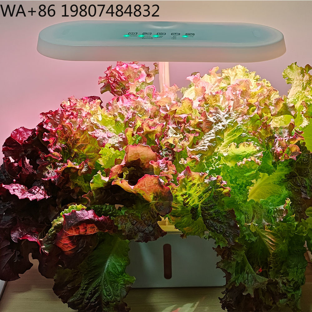 8 Hole Silent Circulation Soil - đánh giá và giá Hydroponic Kit