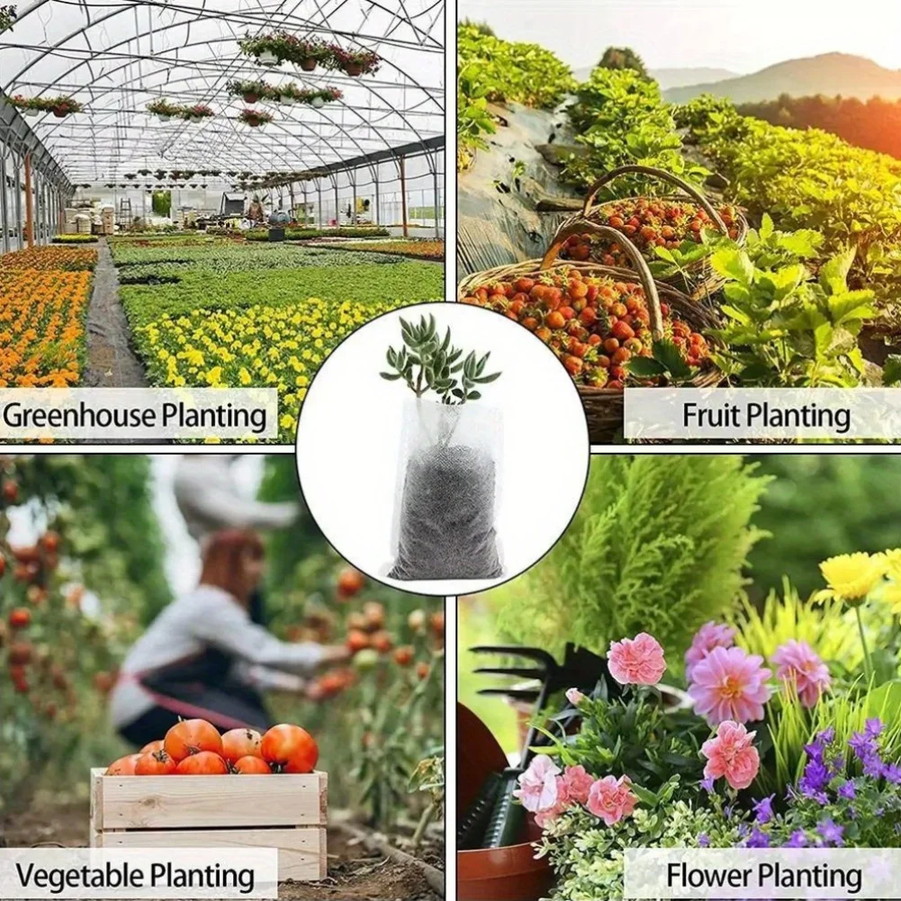 100pcs Biodegradable Seed Nurs - đánh giá và giá Seed Starter Tray
