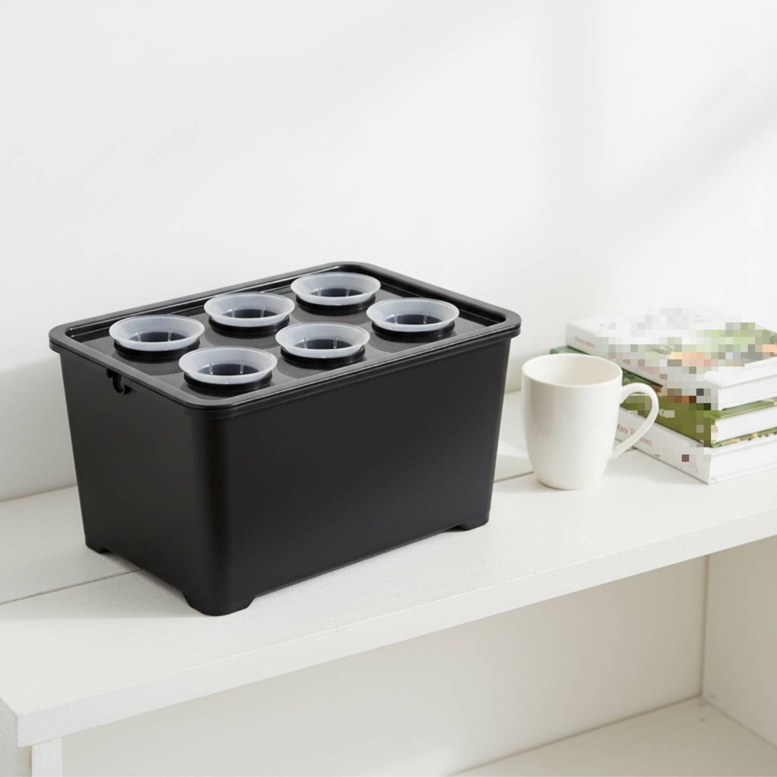 Hydroponic Planting Box Sunlig - đánh giá và giá Hydroponic Kit