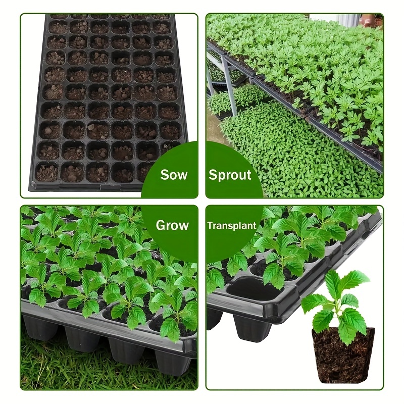 10-20nursery tray, greenhouse  - đánh giá và giá Seed Starter Tray