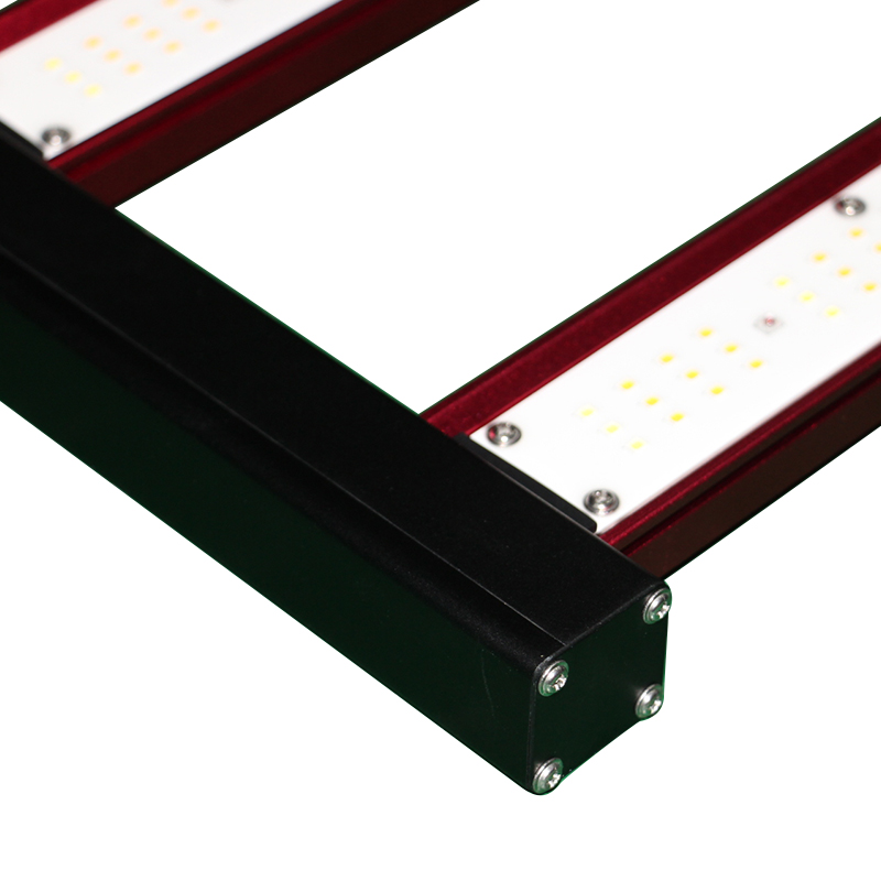 450w 600w 800w 1000Watt Indoor - đánh giá và giá Grow Light Led