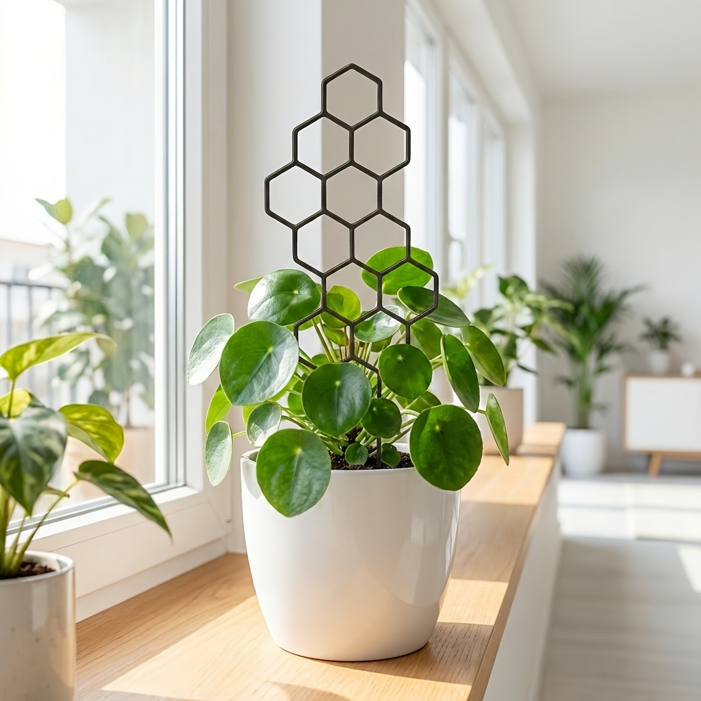 1/2Pack Indoor Plant Trellis G - đánh giá và giá Indoor Herb Garden