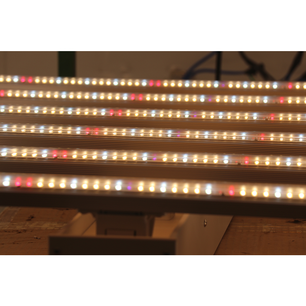 2023 Drop-shipping Factory Dir - đánh giá và giá Grow Light Led