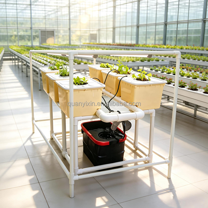 Dutch Bucket Hydroponic System - đánh giá và giá Hydroponic Kit