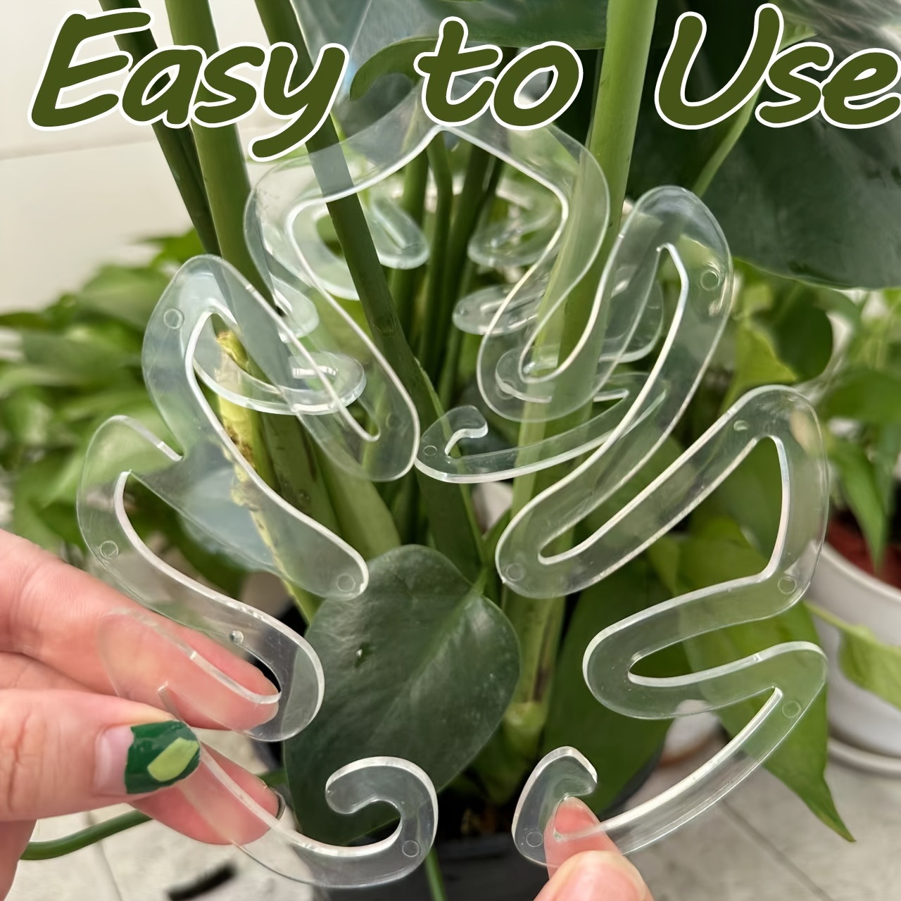 Flexible Plastic Monstera Plan - đánh giá và giá Vertical Planter