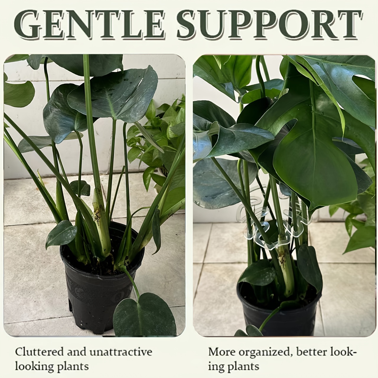 Flexible Plastic Monstera Plan - đánh giá và giá Vertical Planter