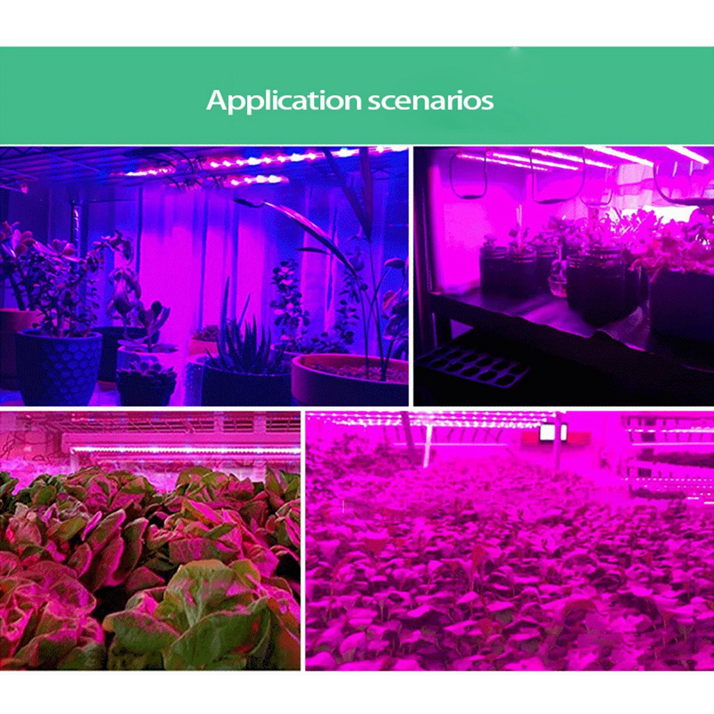 ABUH-5V 5 Meter Plant Grow Lam - đánh giá và giá Grow Light Led