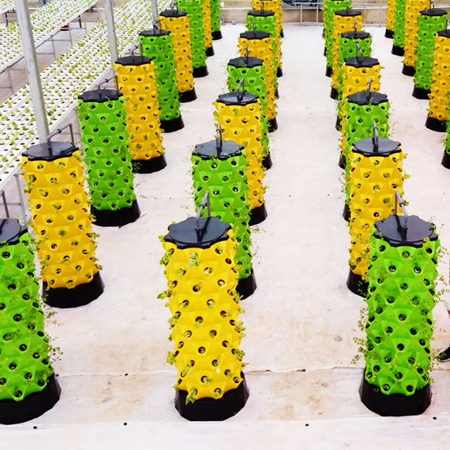 NEW Hydroponics Vertical Garde - đánh giá và giá Hydroponic Kit