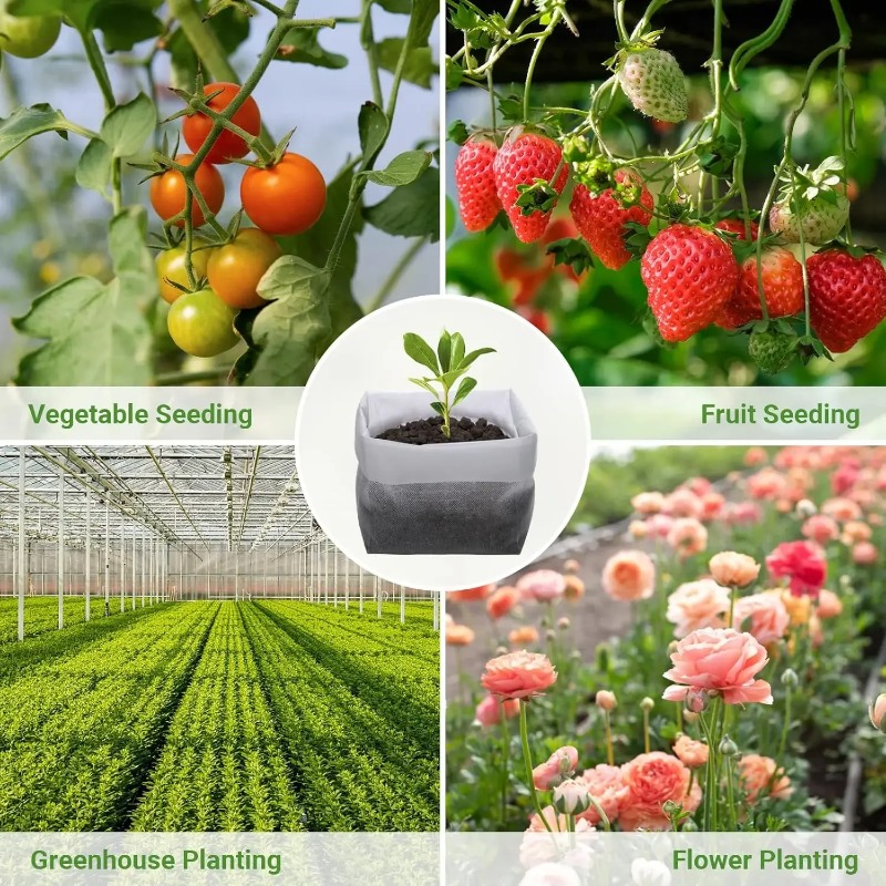 Water Permeable Breathable Non - đánh giá và giá Grow Bag