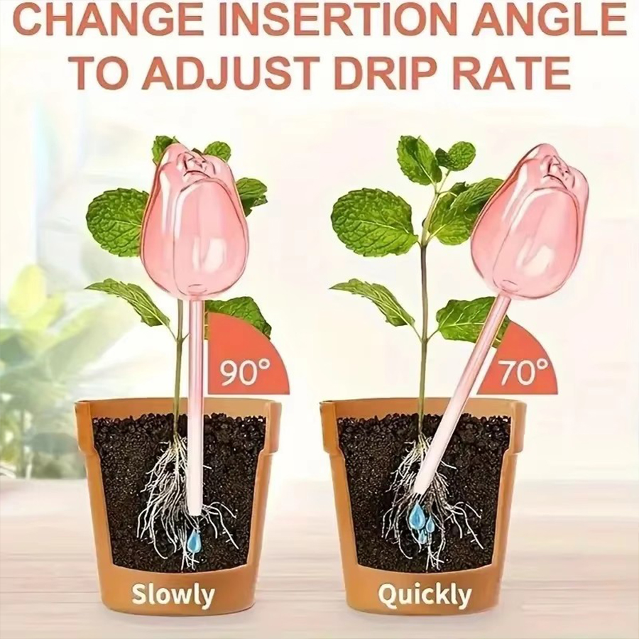 Transparent Thick PET Tulip Sh - đánh giá và giá Indoor Herb Garden