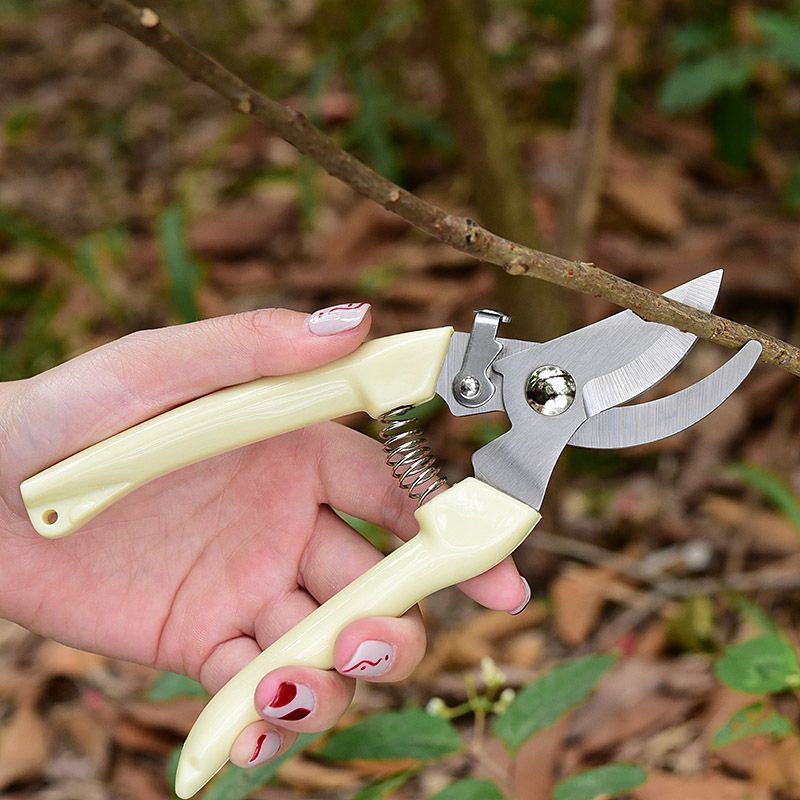 Labor‑Saving Garden Pruning Sh - đánh giá và giá Pruning Shears