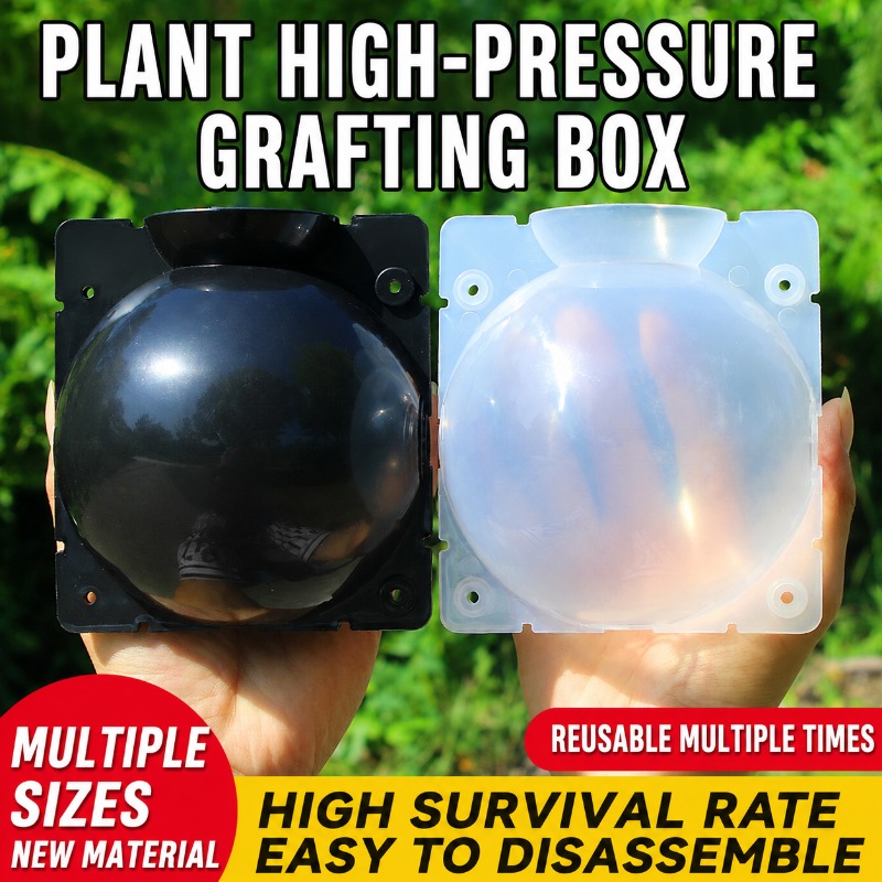 10pcs Plant Propagation Kit: H - đánh giá và giá Indoor Herb Garden