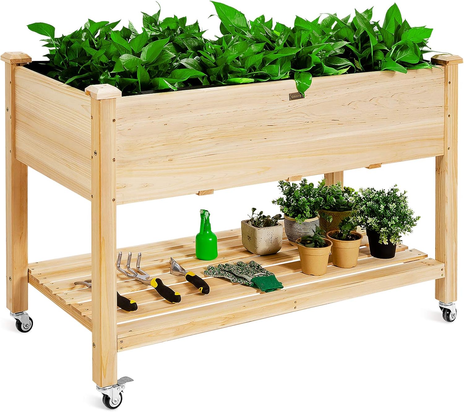 Wooden Raised Garden Bed on Wh - đánh giá và giá Raised Garden Bed