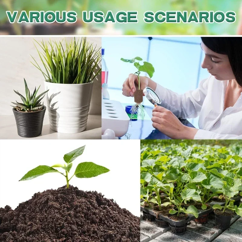 Seedling Starter Sponge Kit fo - đánh giá và giá Hydroponic Kit