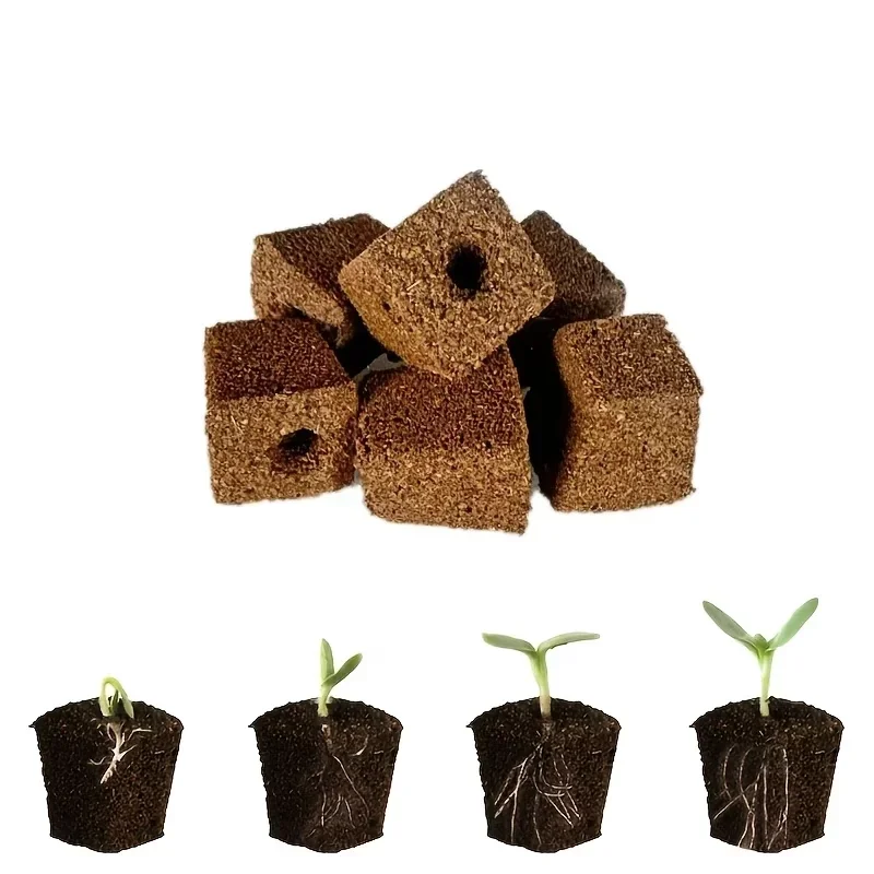 Seedling Starter Sponge Kit fo - đánh giá và giá Hydroponic Kit