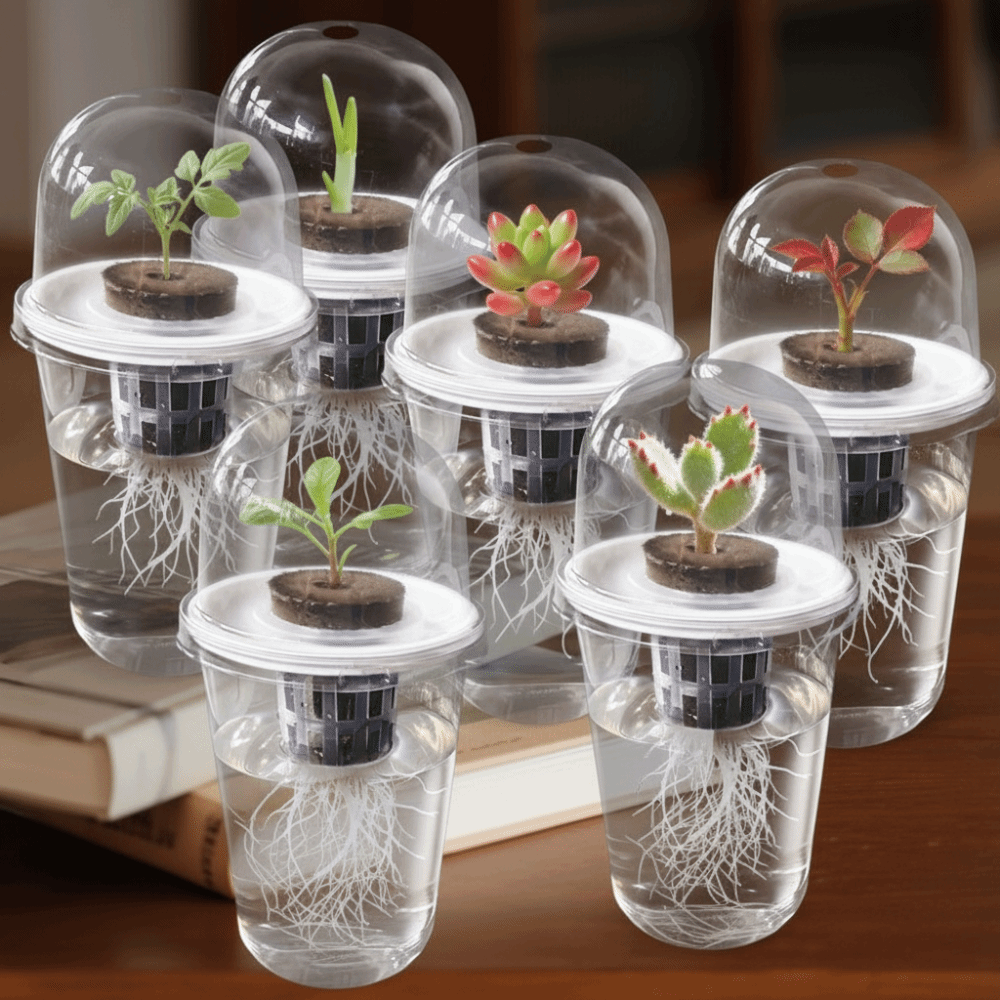 1-5pc Visible Clear Plants Ger - đánh giá và giá Seed Starter Tray