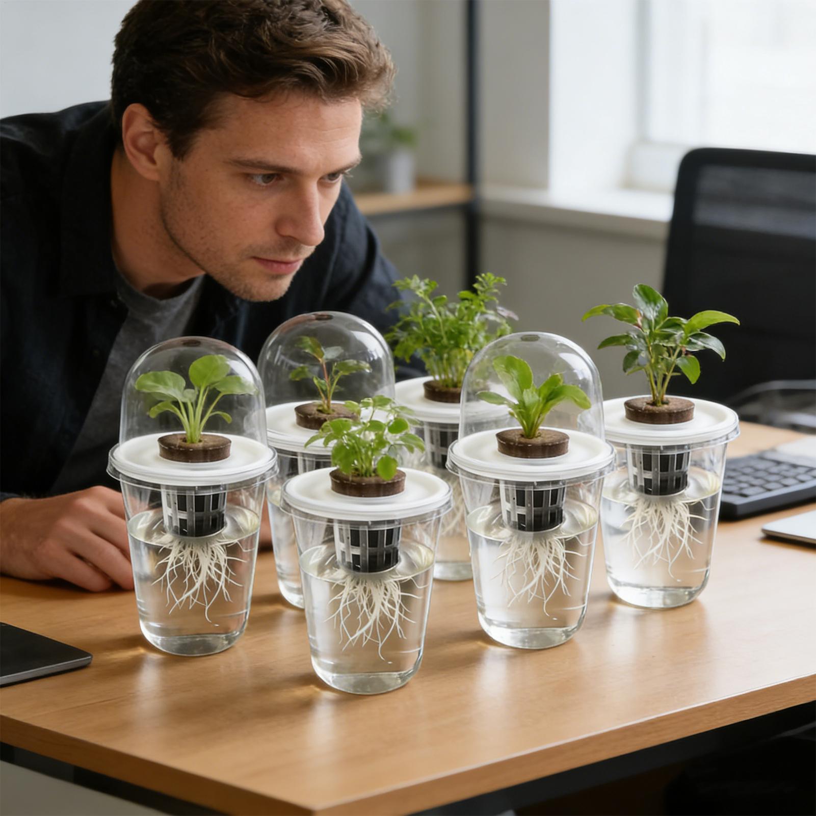1-5pc Visible Clear Plants Ger - đánh giá và giá Seed Starter Tray