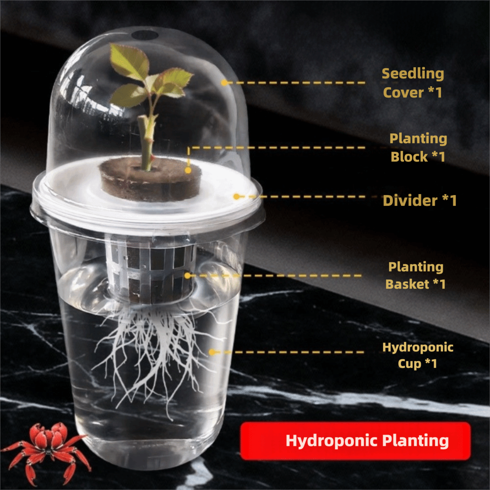 1-5pc Visible Clear Plants Ger - đánh giá và giá Seed Starter Tray