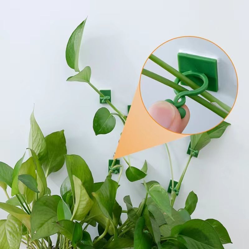 Self‑Adhesive Plant Climbing W - đánh giá và giá Indoor Herb Garden