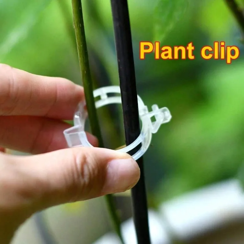 200pcs/bag Plant Clips-Tomato  - đánh giá và giá Grow Bag