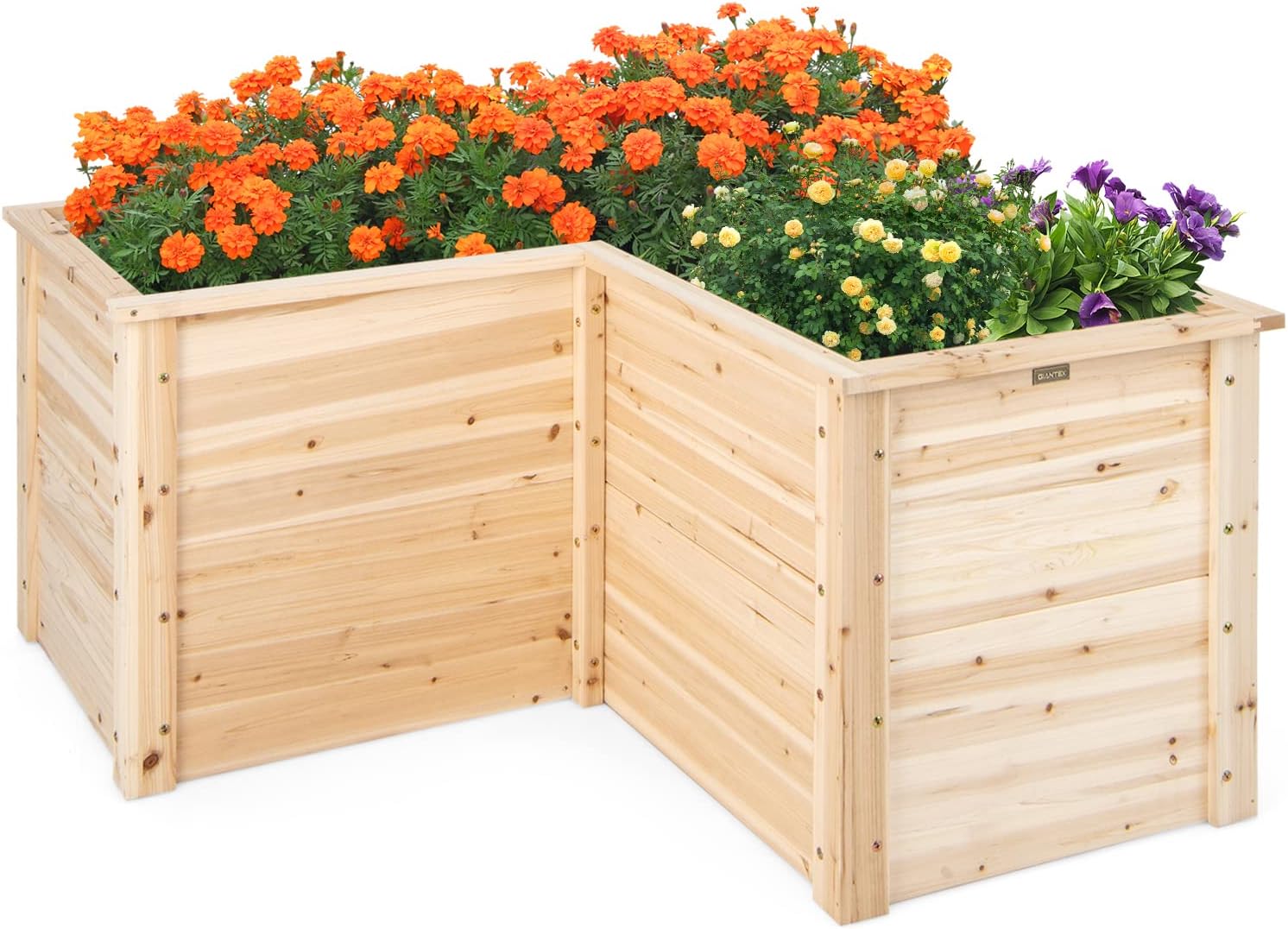 Outdoor Solid Wood Raised Gard - đánh giá và giá Raised Garden Bed