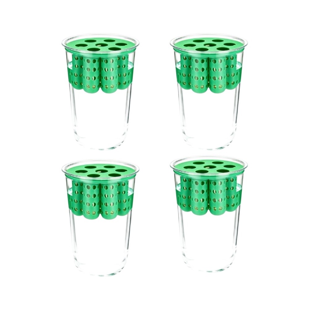 4pcs Green Onion Regrower Spro - đánh giá và giá Hydroponic Kit