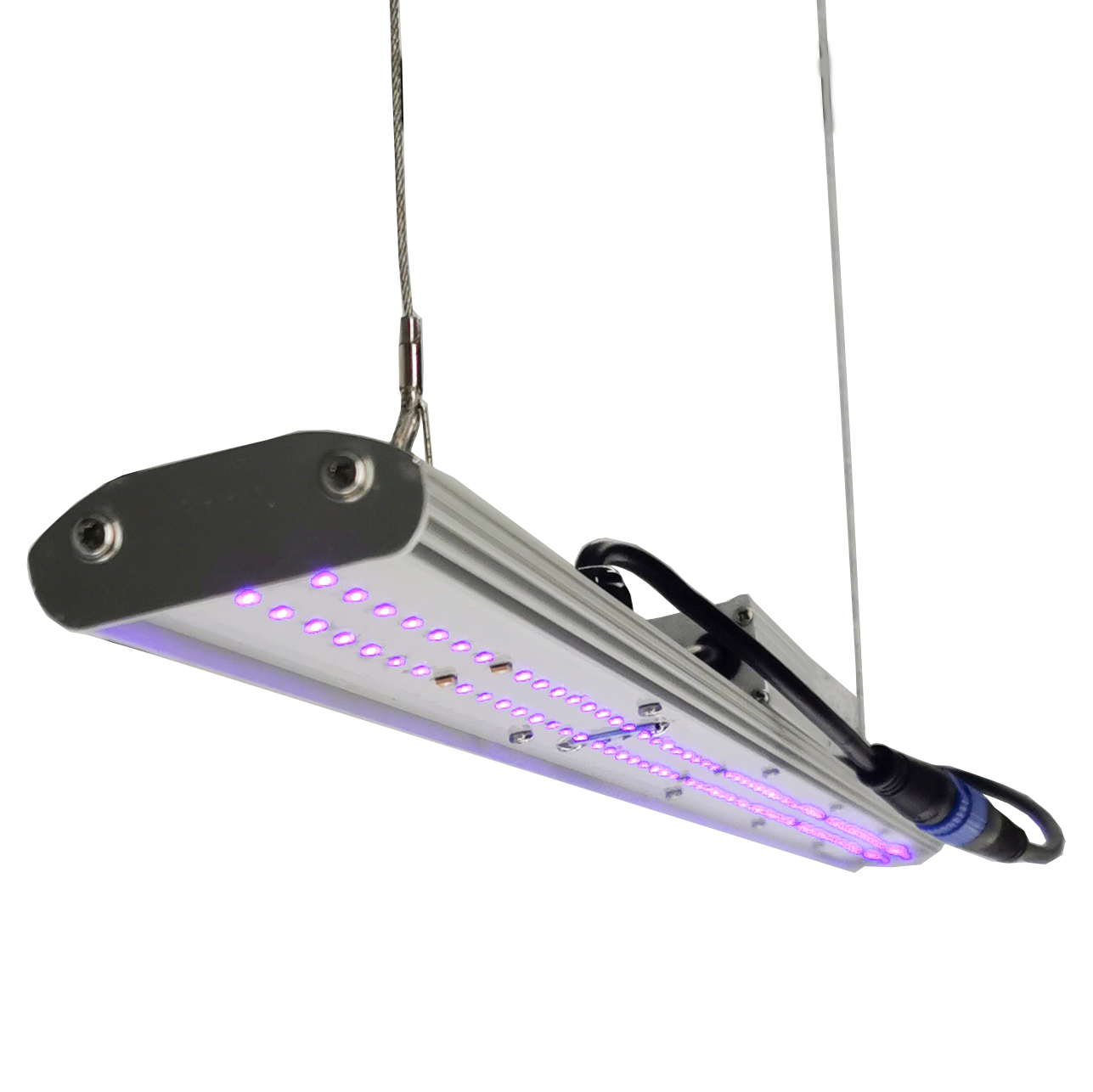 DANSE LED Manual Dimmer LED Gr - đánh giá và giá Grow Light Led