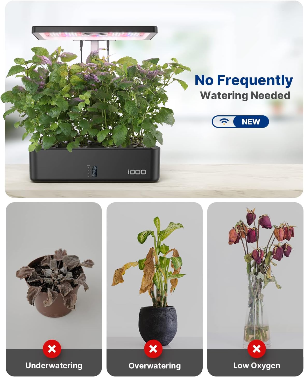 12 Pods WiFi Hydroponics Growi - đánh giá và giá Indoor Herb Garden