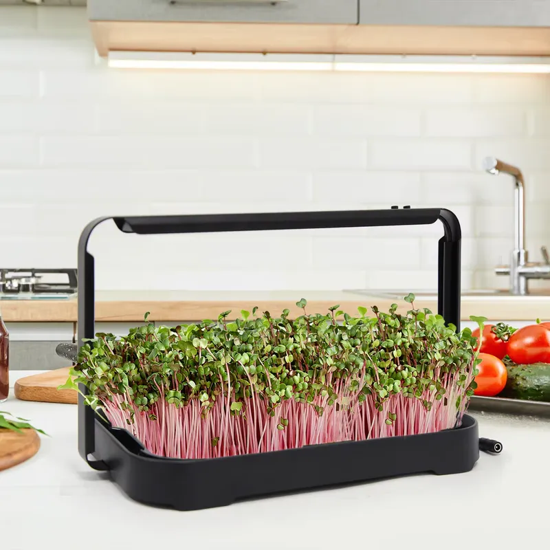 Hydroponic Tray Indoor Microgr - đánh giá và giá Hydroponic Kit