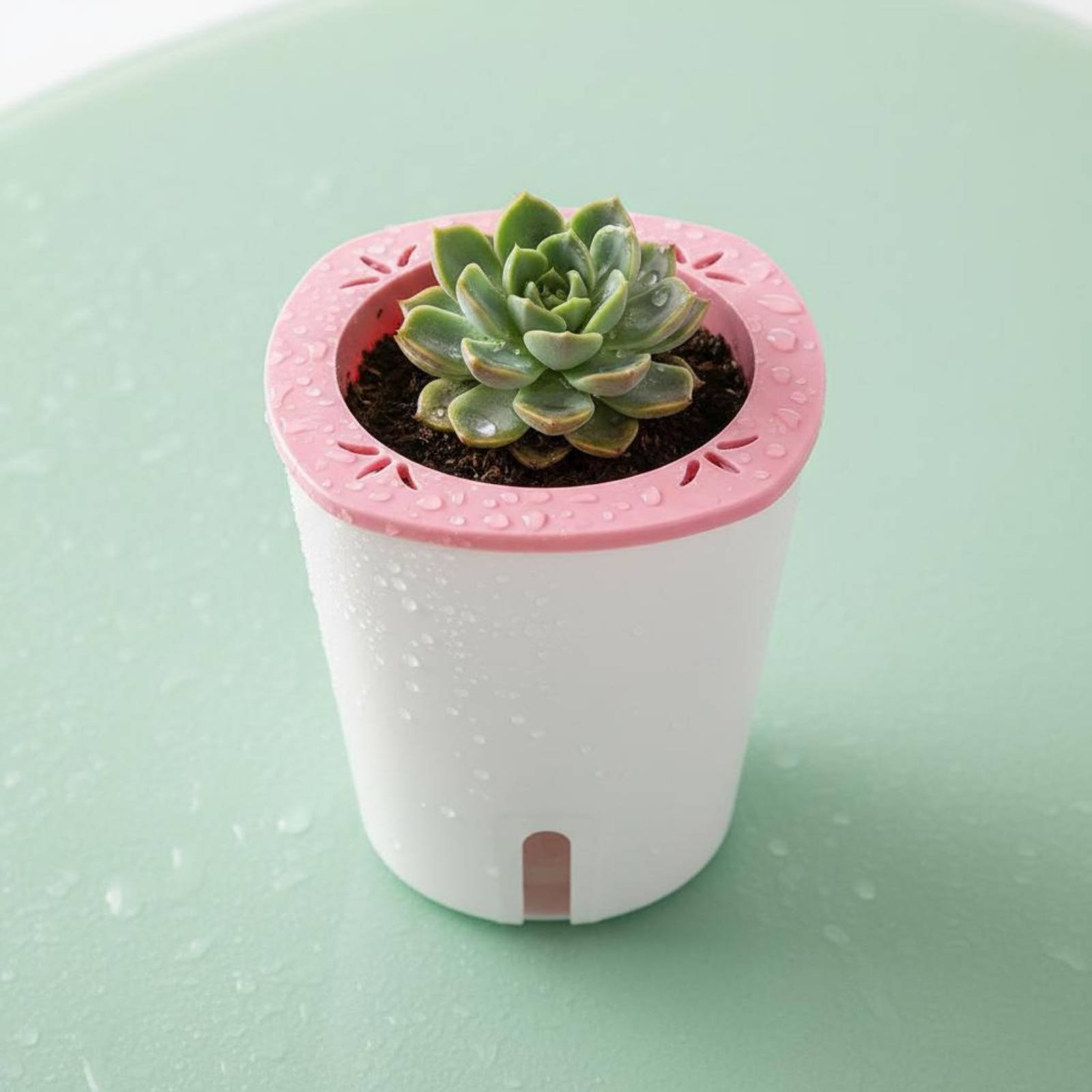 Self Watering Planter Large Si - đánh giá và giá Self Watering Planter