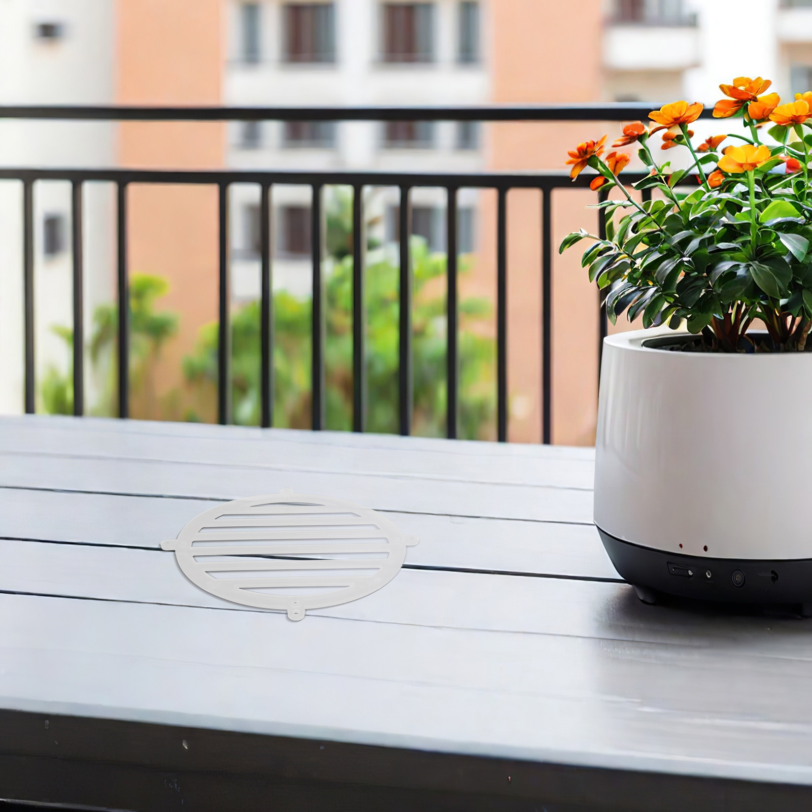 2Pcs Fern Mounting Board 15Cm  - đánh giá và giá Vertical Planter