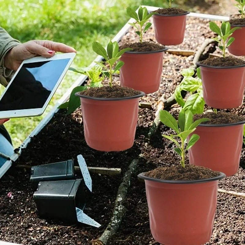 100/20x Seeding Nursery Pot Bl - đánh giá và giá Seed Starter Tray