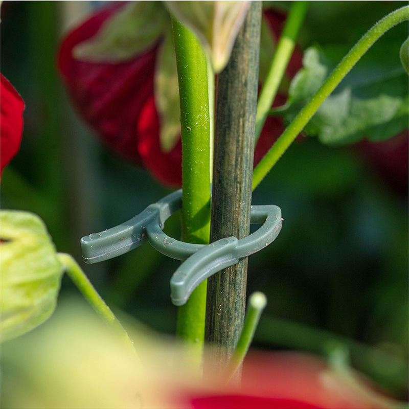 50/100pcs Garden Plant Clips V - đánh giá và giá Vertical Planter