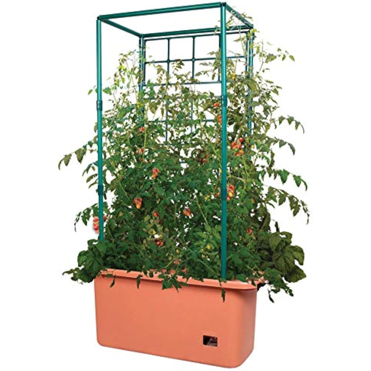 GCTR Tomato Grow System 10 Gal - đánh giá và giá Vertical Planter