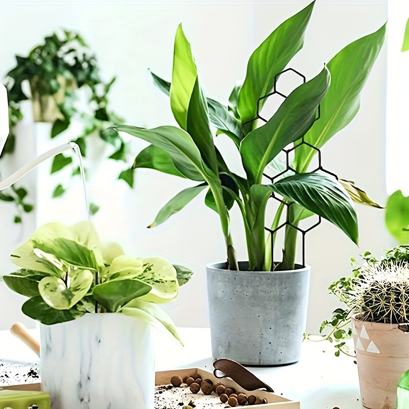 1PC Honeycomb Design Plant Tre - đánh giá và giá Indoor Herb Garden