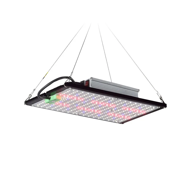 LED Quantum‑Board Grow Light F - đánh giá và giá Grow Light Led