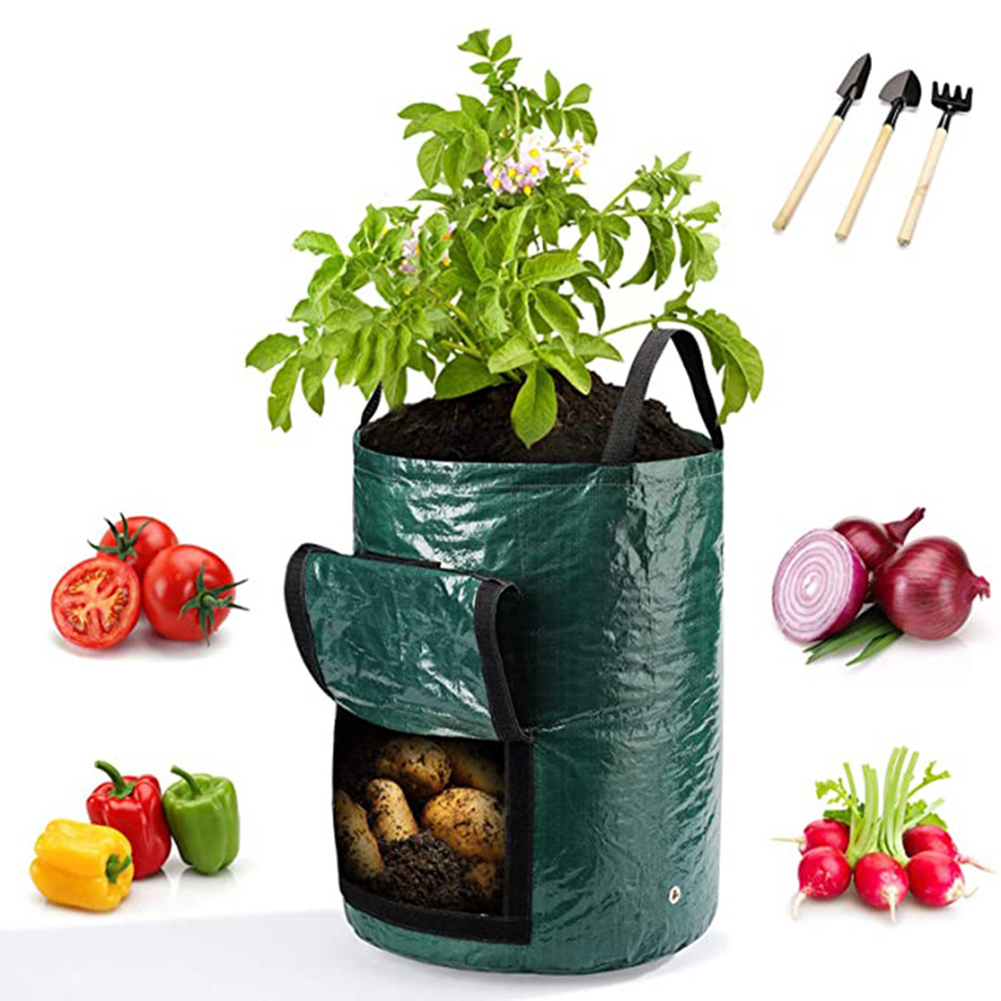 1pc 10-Gallon Grow Bags For Ve - đánh giá và giá Grow Bag