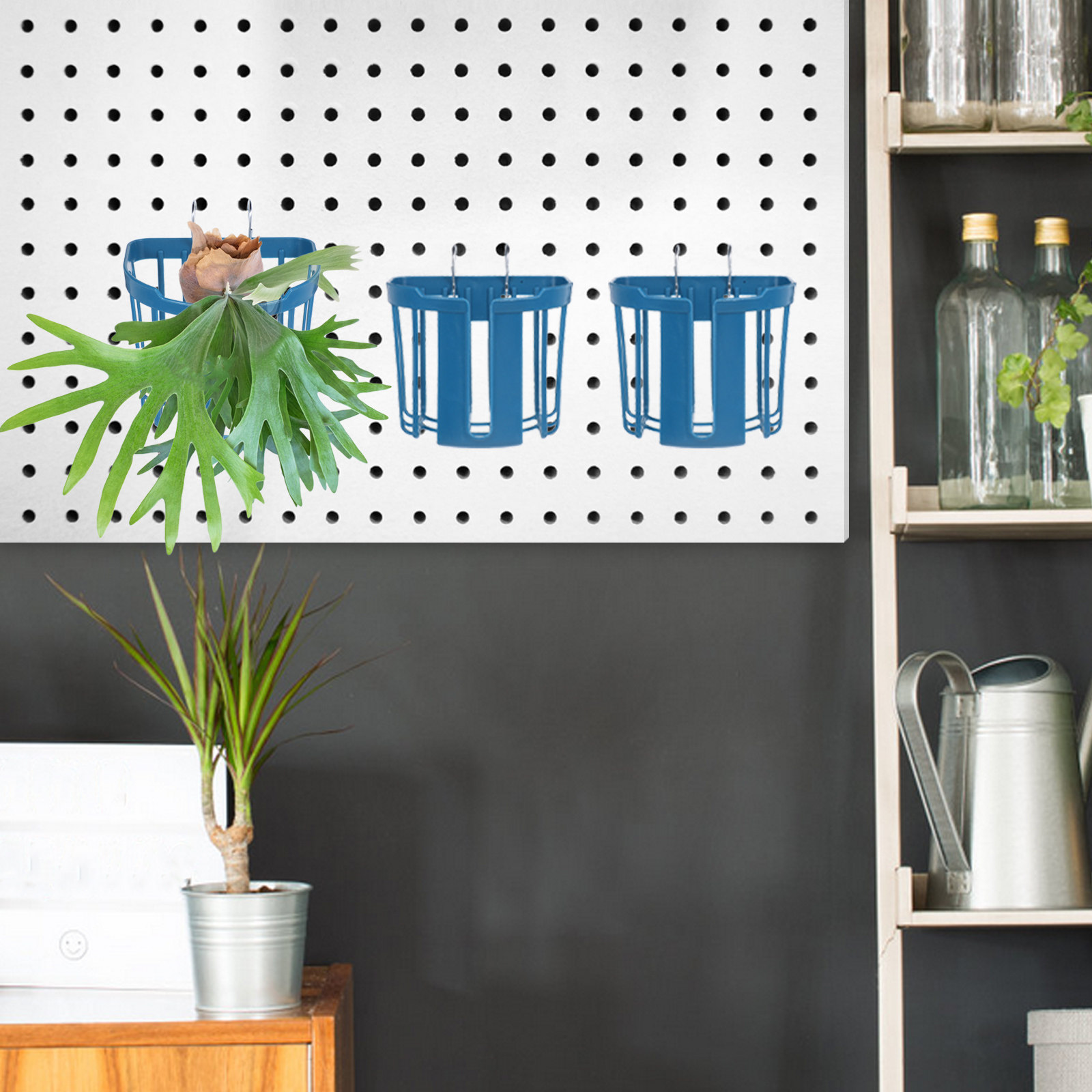 4Pcs Wall Mounted Fern Planter - đánh giá và giá Vertical Planter